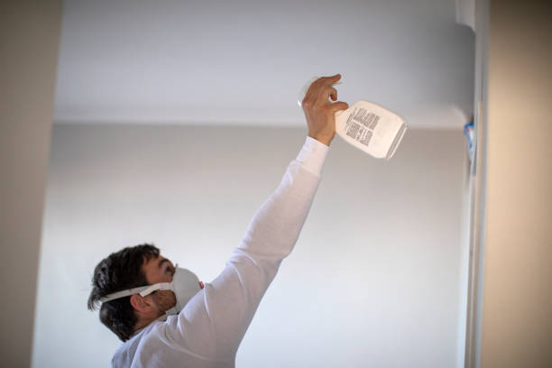 Best Toxic Mold Removal  in Foscoe, NC