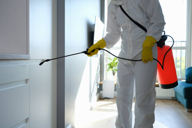 Best Mold Testing  in Foscoe, NC