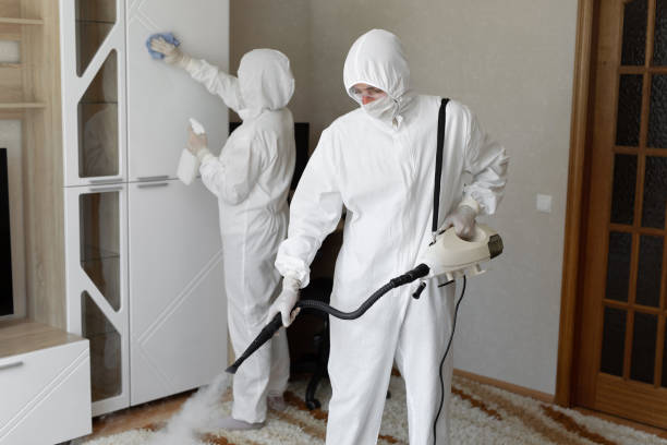 Mold Removal Process in Foscoe, NC