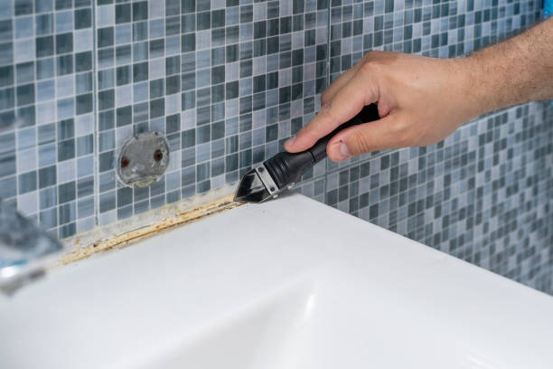 Foscoe, NC Mold Removal Company