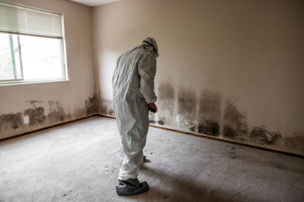 Water Damage Restoration in Foscoe, NC